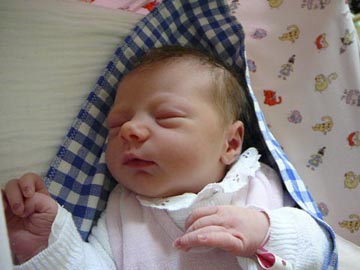 Bild3