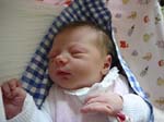 Bild3
